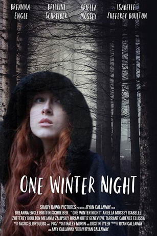 смотреть Однажды зимней ночью (2019)