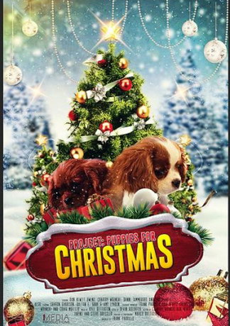 смотреть Проект: Щенки на Рождество (2019)