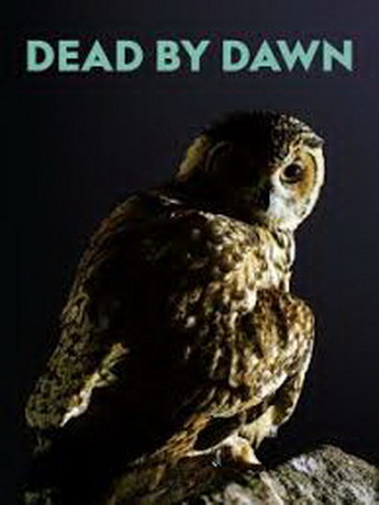 смотреть Дожить до рассвета 1 сезон 6 серия