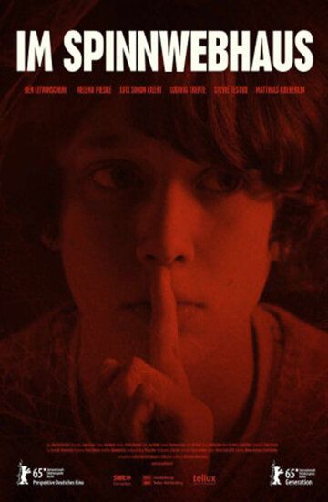 смотреть В доме из паутины (2015)