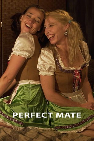 смотреть Идеальная пара (2020)