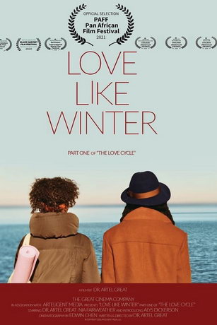 смотреть Любовь похожая на зиму (2020)