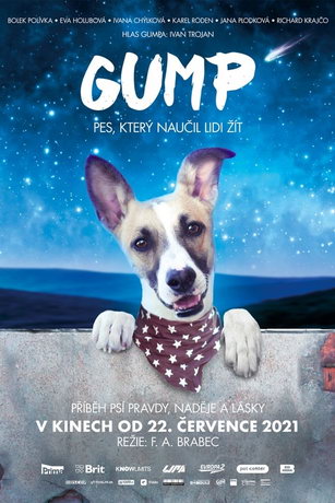 смотреть Гамп — пёс, который научил людей жить (2021)
