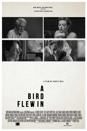 смотреть Залётная птица (2021)