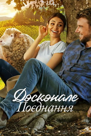 смотреть Идеальное сочетание (фильм 2022)