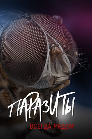 смотреть Паразиты 1 сезон