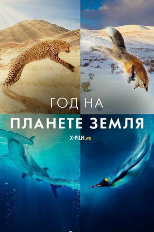 смотреть Год на планете Земля 1 сезон 6 серия