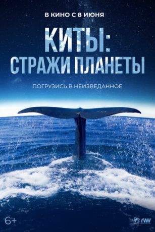 смотреть Киты: Стражи планеты (2023)