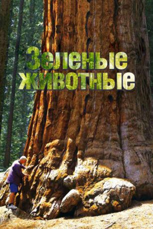 смотреть Зелёные животные 1 сезон 3 серия