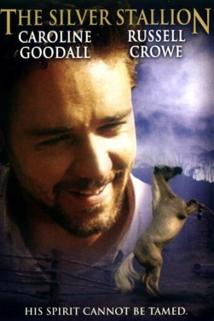 смотреть Серебряный ветер (1993)