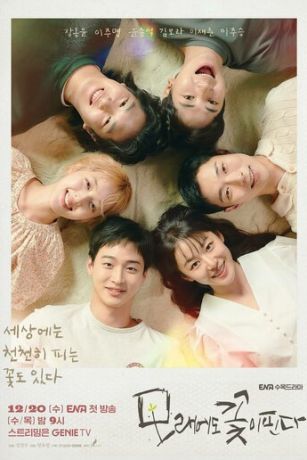 смотреть Песчаный цветок 1 сезон 5 серия