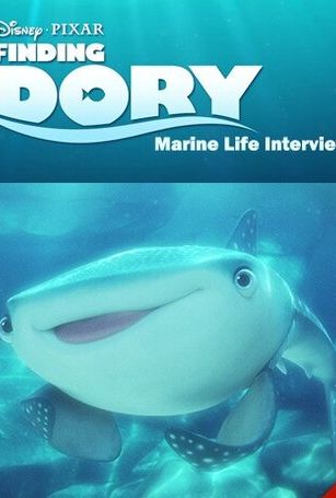 смотреть В поисках Дори: Интервью о морской жизни (2016)