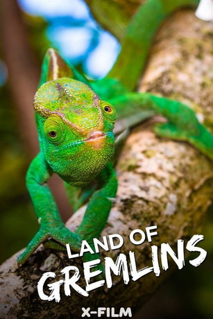 смотреть Земля гремлинов 1 сезон 3 серия