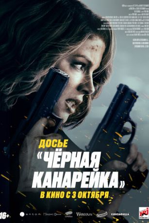 смотреть Досье «Чёрная канарейка» (2024)