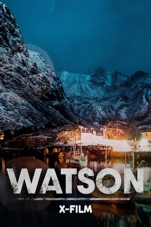 Ватсон (сериал)