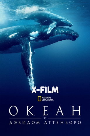 смотреть Дэвид Аттенборо: Океан (2025)