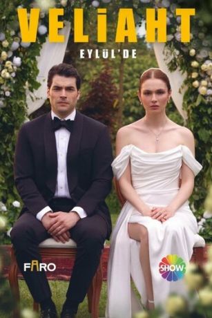 Наследник (сериал)