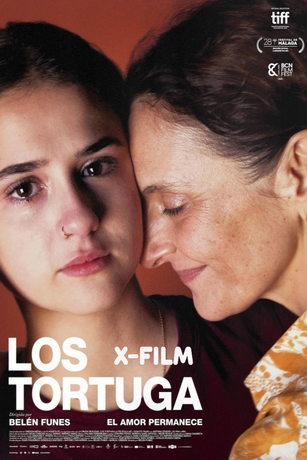 смотреть Черепаха (2024)