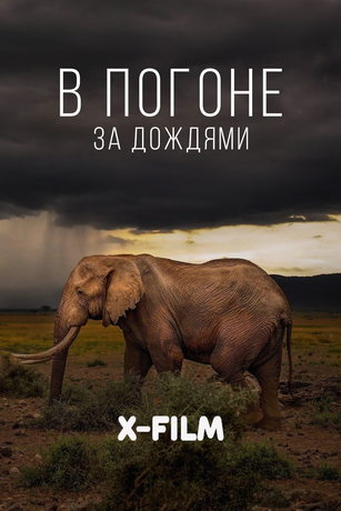смотреть В погоне за дождями (сериал)